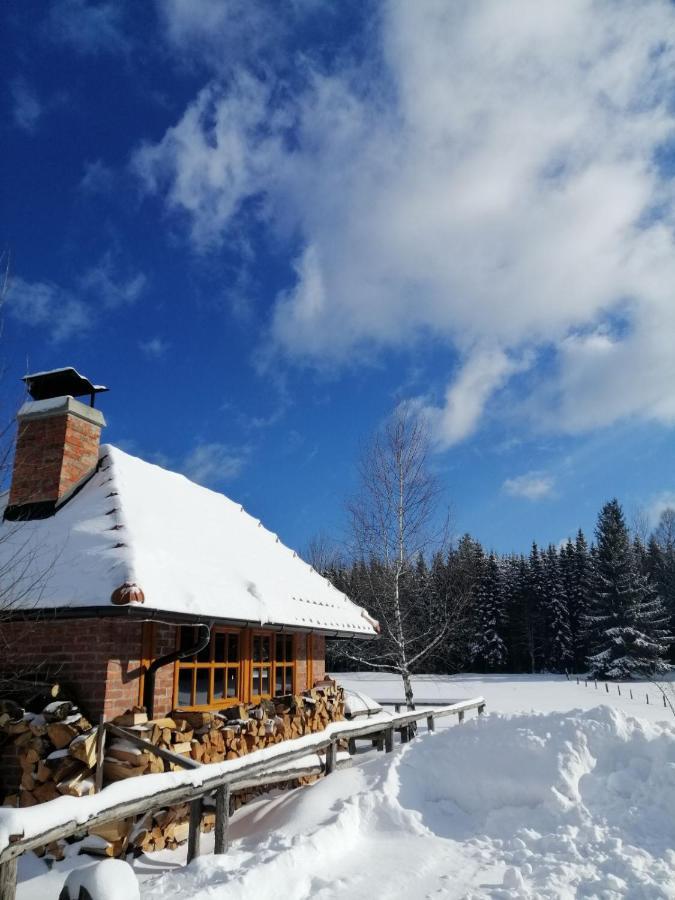 הוילה באינה באשטה Mountain House Tadic 1 מראה חיצוני תמונה